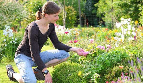 woman in garden